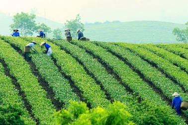 Khai mạc lễ hội du lịch “Qua miền Tây Bắc” 