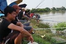 Hà Nội: Dân vùng ngập đổ xô ra đường câu cá