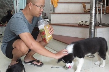 Chàng trai mê thú cưng “độc” hơn... vợ