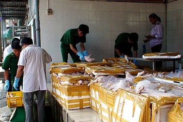 Bắt giữ hai xe khách chở 1,5 tấn thịt “bẩn”