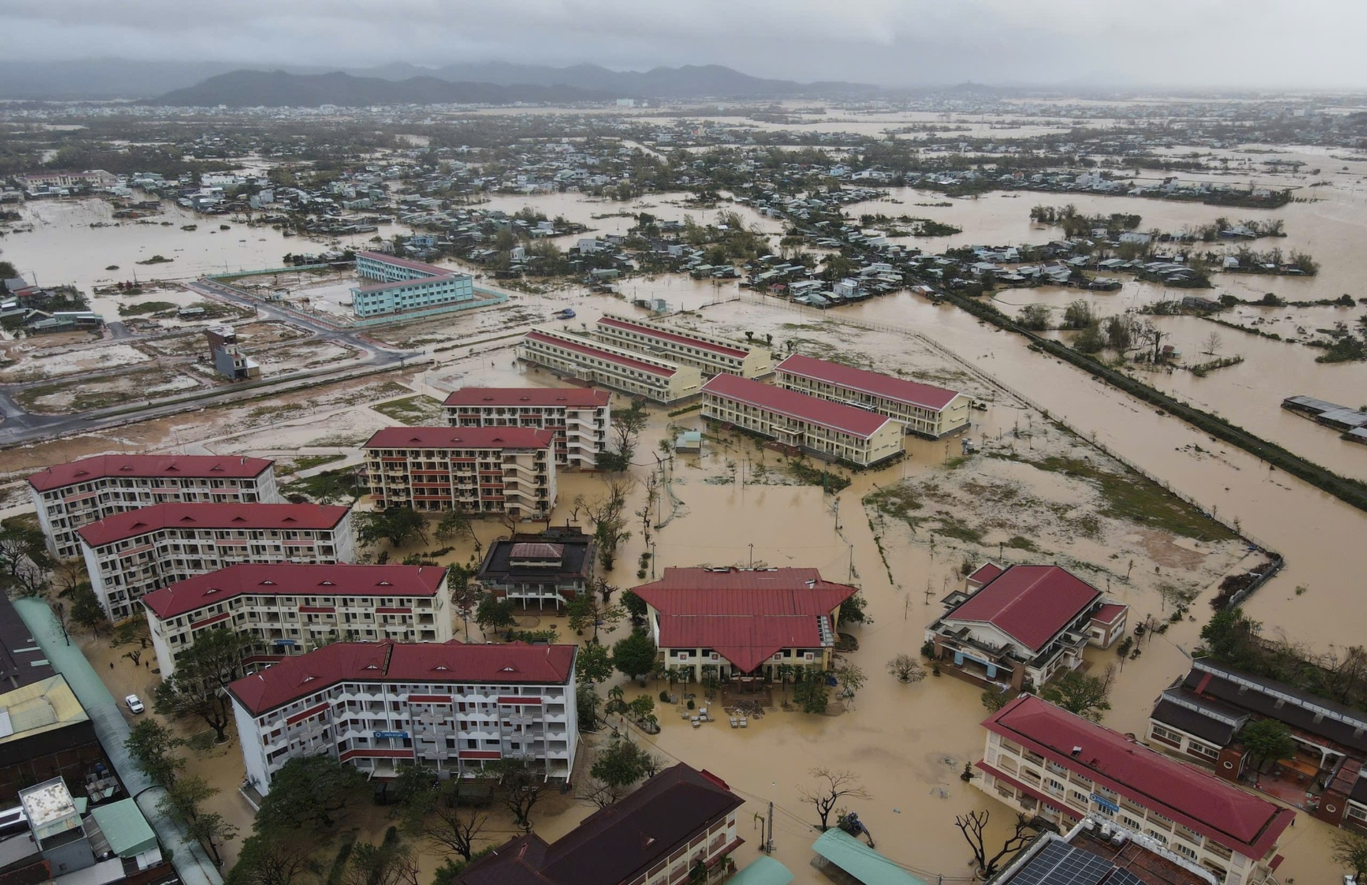 Vợ chồng ôm thùng xốp, bình nước bơi 500m trong lũ dữ để thoát thân - 1