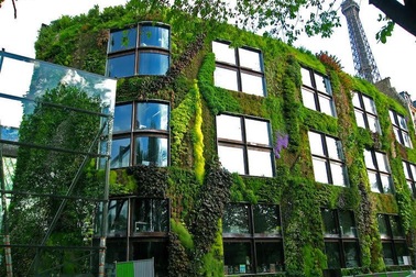 Thủ đô Paris: Người dân trồng cây quanh thành phố