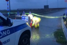 Mở lại tuyến cao tốc Bắc - Nam từ Thanh Hóa đến Quảng Trị