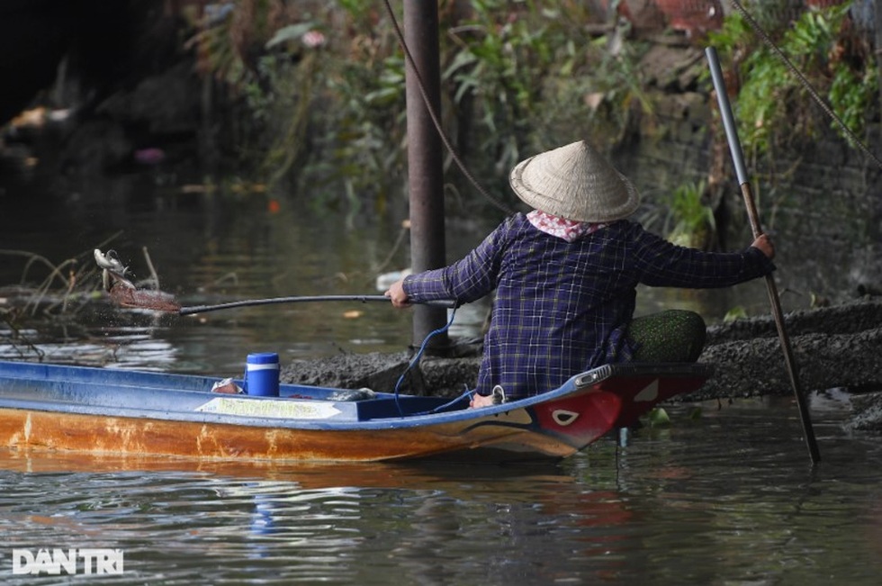 Phóng sinh và phóng tử - 2
