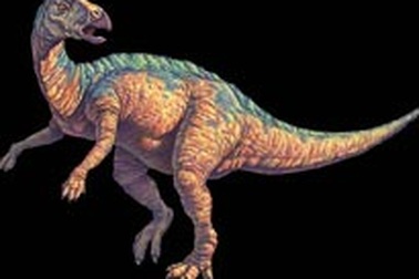 Khủng long làm mẹ ở tuổi vị thành niên