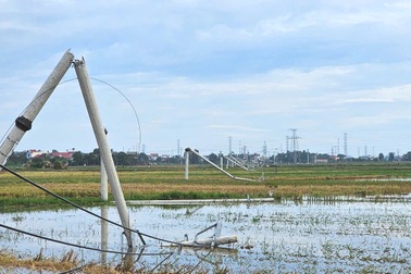 Vụ hàng loạt trụ điện gãy đôi: Gần 500 khách hàng bị ảnh hưởng