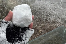 Tuyết rơi phủ trắng xóa đỉnh Fansipan