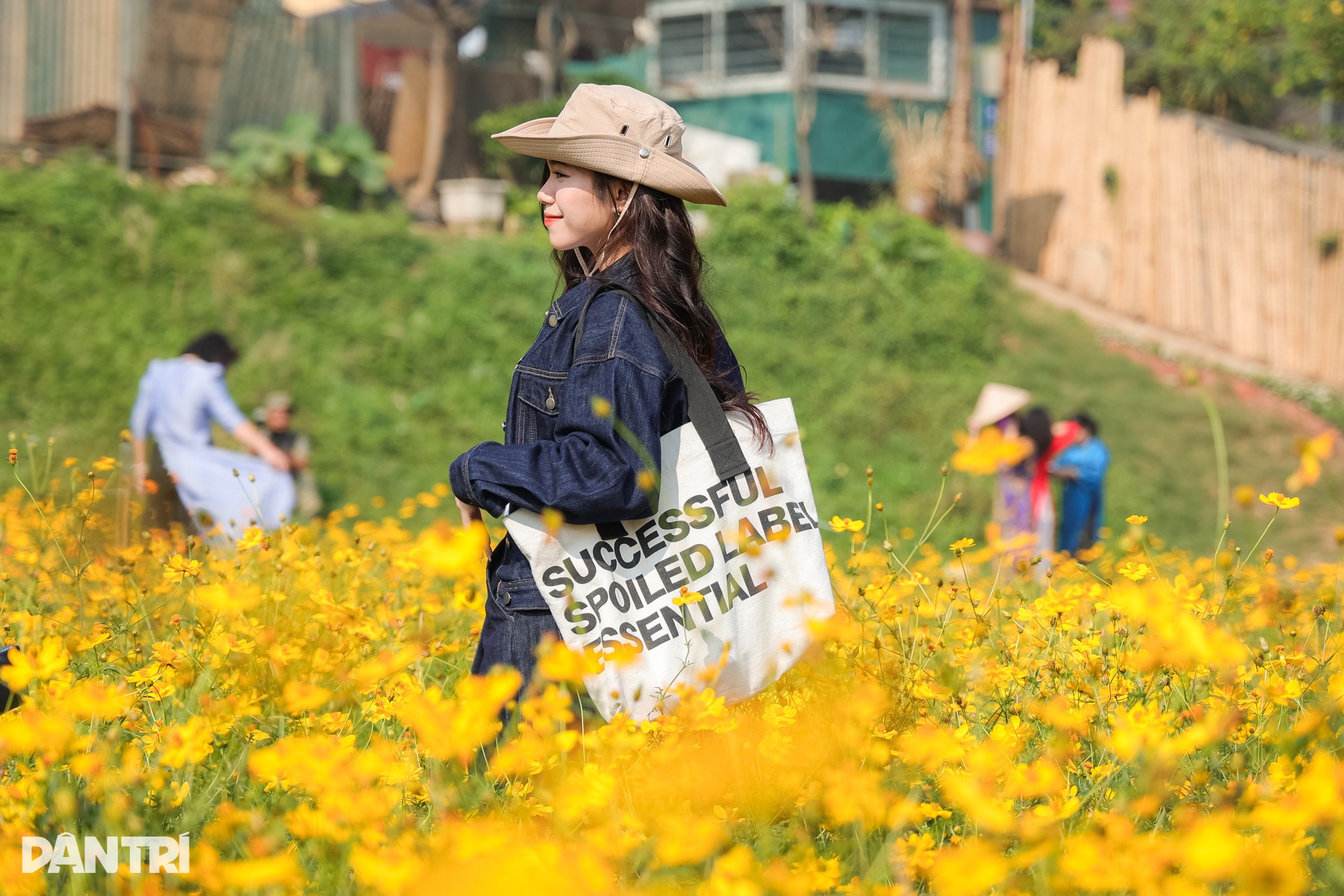 Vakna klockan 3, res 30 km för att ta virtuella foton i krysantemumträdgården vid foten av Long Bien-bron - 4 Dậy từ 3h, vượt 30km chụp ảnh sống ảo ở vườn hoa cúc chân cầu Long Biên - 4