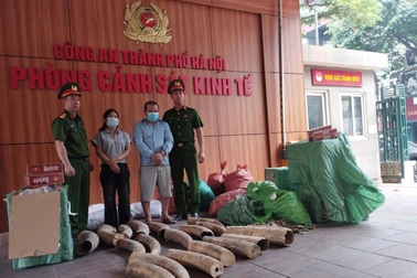 Triệt phá đường dây tàng trữ, vận chuyển, mua bán ngà voi và thuốc lá lậu