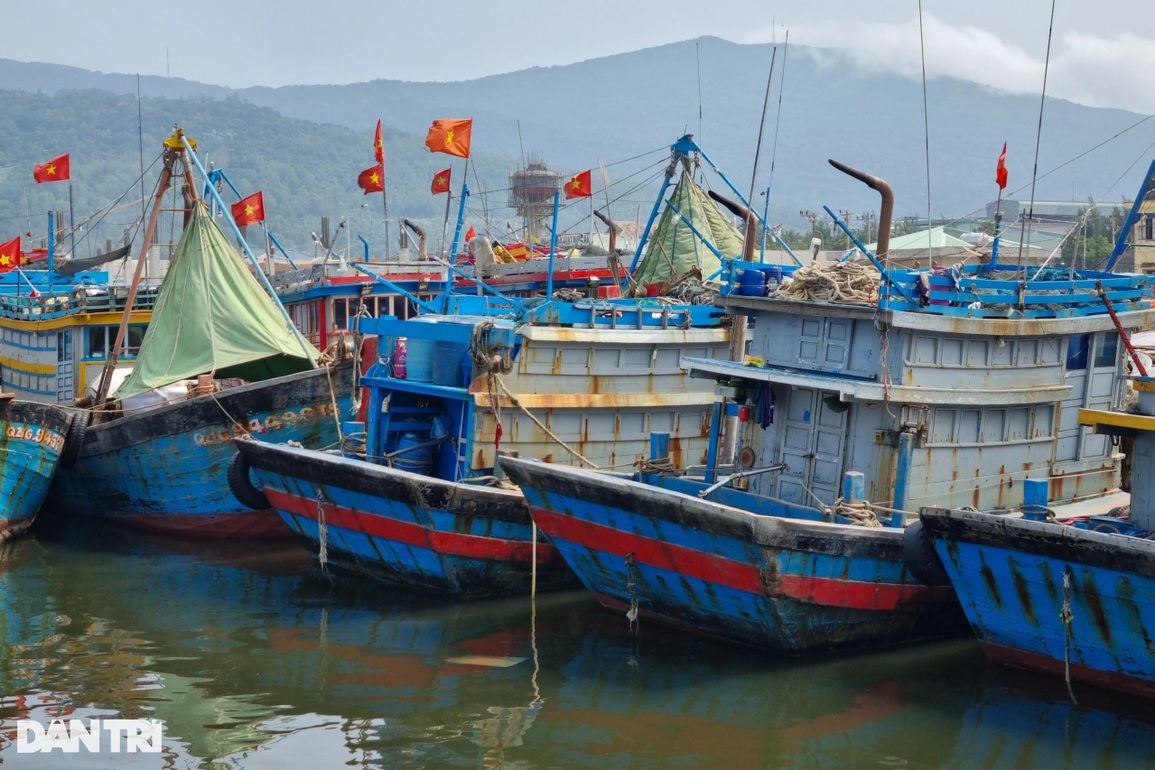 Xăng dầu tăng phi mã, ngư dân Đà Nẵng gác thuyền nằm bờ - 4 Xăng dầu tăng phi mã, ngư dân Đà Nẵng gác thuyền nằm bờ - 4