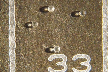 Phát hiện “ngọc vũ trụ” 3 triệu năm tuổi ở Mỹ