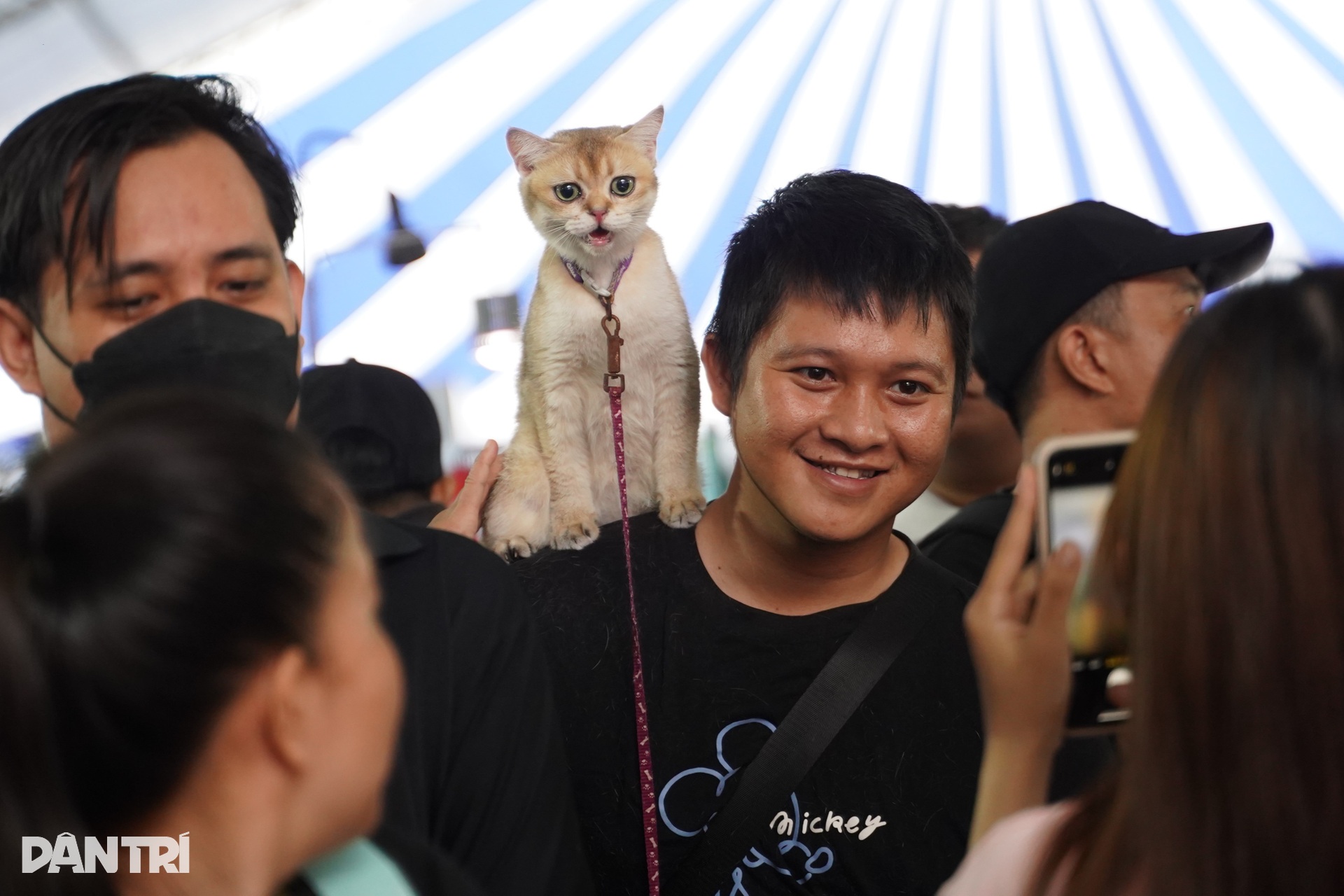 Giao lưu “chiến binh sắt”, dấu ấn đặc biệt tại Ngày hội Sinh vật cảnh TPHCM - 13 Giao lưu “chiến binh sắt”, dấu ấn đặc biệt tại Ngày hội Sinh vật cảnh TPHCM - 13