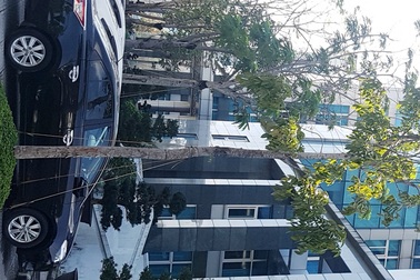 Vụ văn bản đóng cửa chợ: Kiểm điểm Phòng Kinh tế TP Huế