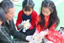 Phụ huynh mách nhau cách dạy con không lãng phí thời gian nghỉ Tết