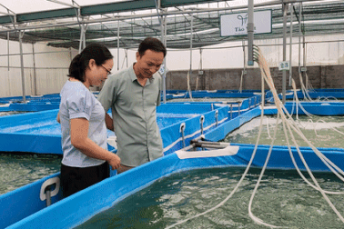 Vợ chồng giáo viên bỏ nghề về làm giàu từ loại "không phải cho ăn gì"