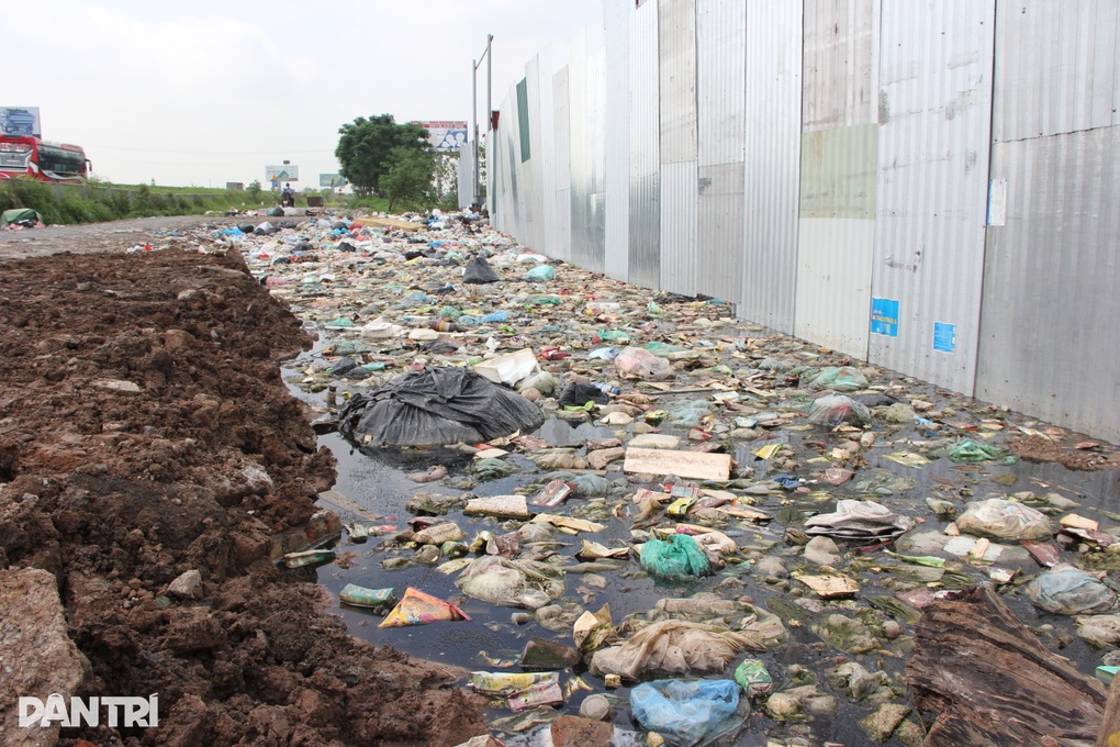 Rác thải nhựa, xác động vật không phân loại ngập ngụa các bãi tập trung - 9 Rác thải nhựa, xác động vật không phân loại ngập ngụa các bãi tập trung - 9