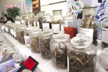 Khám, chữa bệnh BHYT bằng y học cổ truyền: Bất cập từ trên xuống dưới