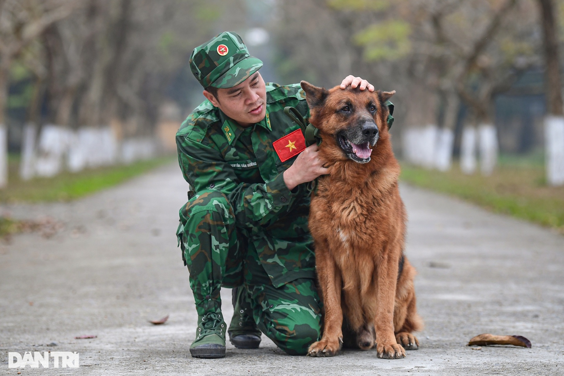 Chó nghiệp vụ tập luyện tìm cứu người, tấn công tội phạm, phát hiện ma túy - 16