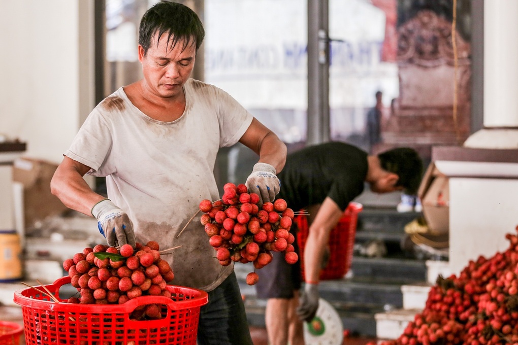 Kiếm tiền triệu mỗi ngày nhờ công việc ăn theo mùa vải - 7 Kiếm tiền triệu mỗi ngày nhờ công việc ăn theo mùa vải - 7