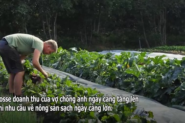 Muốn con sống xanh từ khi chào đời, vợ chồng mua đất làm trang trại hữu cơ