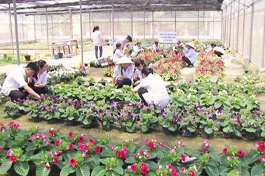 Trường đại học đầu tiên ở Huế thực hiện đánh giá ngoài