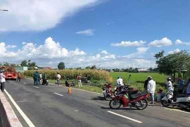 Cây rơi trúng xe ba gác khiến tài xế tử vong