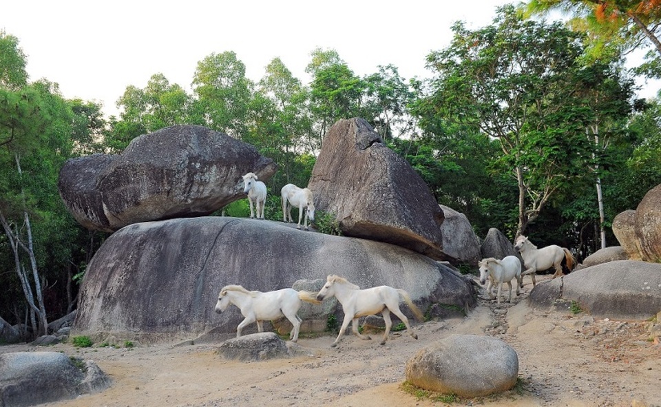 Sầm Sơn - viên ngọc quý của du lịch trước thời cơ tỏa sáng - 3