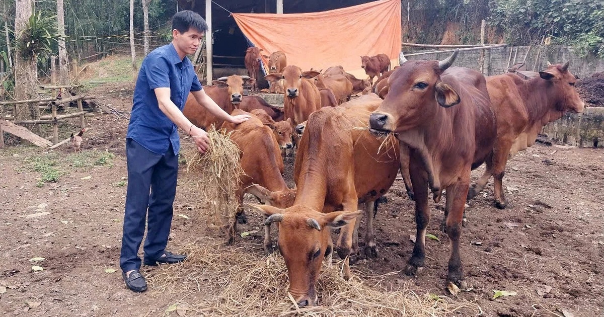 Bí thư đoàn xã thành triệu phú nhờ một yêu cầu “hiểm”