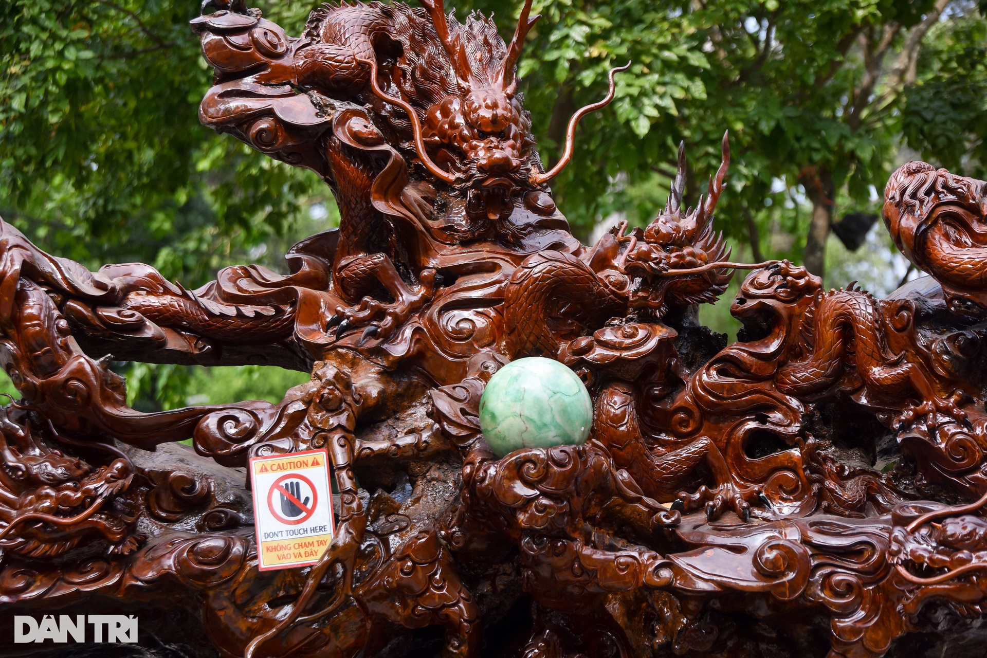 Choáng ngợp gỗ nguyên khối 4,5 tấn được điêu khắc hình rồng - 3 Choáng ngợp gỗ nguyên khối 4,5 tấn được điêu khắc hình rồng - 3