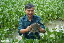 Bỏ nghề hướng dẫn viên về làm nông kiếm gần nửa tỷ đồng mỗi năm