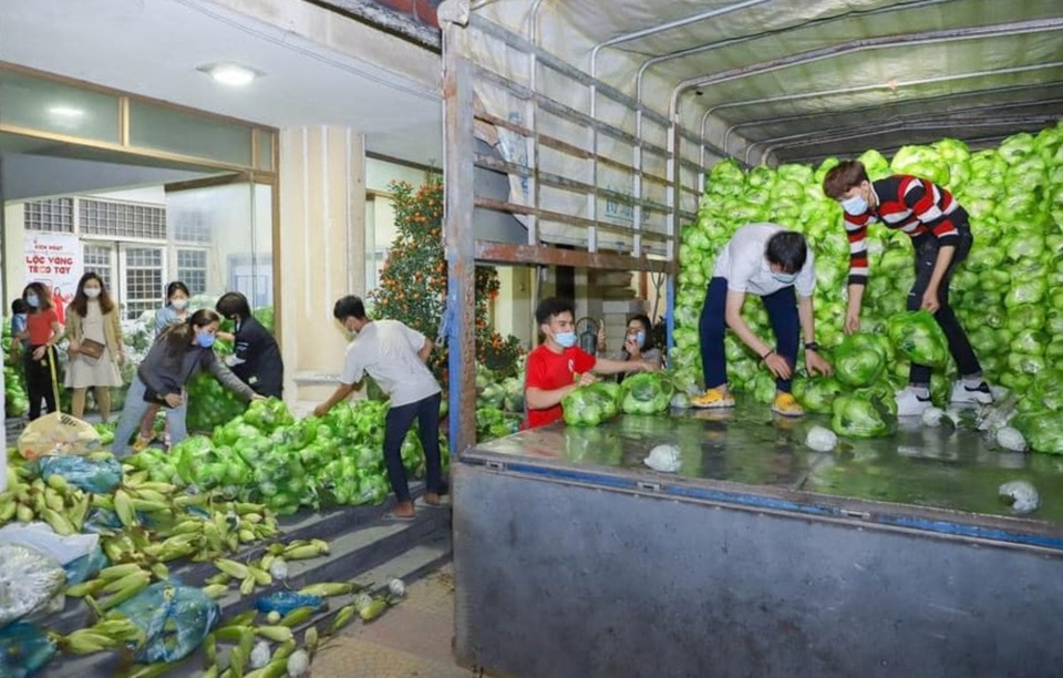 Nguyệt thảo mai Hà Hương trắng đêm giúp bà con Hải Dương 40 tấn nông sản - 5 Nguyệt thảo mai Hà Hương trắng đêm giúp bà con Hải Dương 40 tấn nông sản - 5