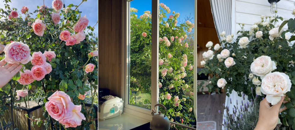 Mua 2.000m2 đất ở Đà Lạt, chàng trai dựng ngôi nhà đi đâu cũng chạm hoa - 8 Mua 2.000m2 đất ở Đà Lạt, chàng trai dựng ngôi nhà đi đâu cũng chạm hoa - 8