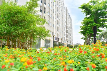 Nhà ở cho người thu nhập thấp – giấc mơ có thật