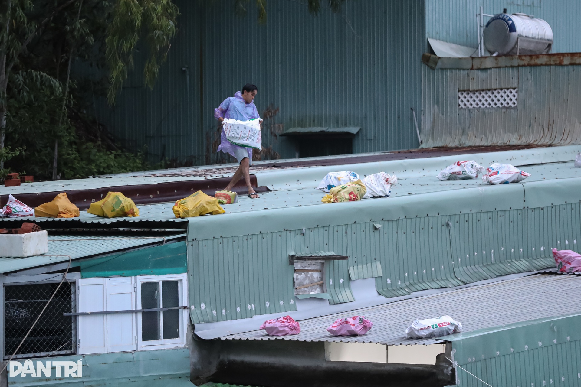 Muôn kiểu chằng chống nhà cửa của người dân miền Trung trước giờ bão đổ bộ - 12 Muôn kiểu chằng chống nhà cửa của người dân miền Trung trước giờ bão đổ bộ - 12