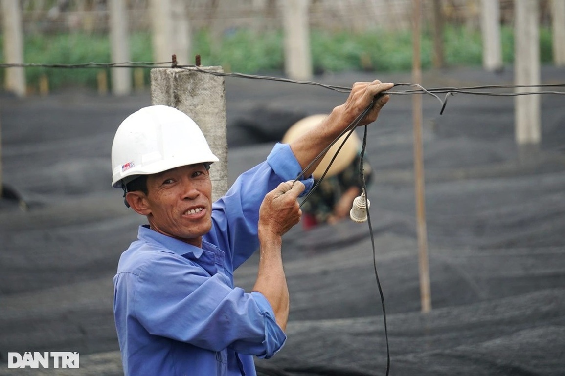 Đầu vụ đánh liều xuống giống, cuối năm thấp thỏm lo âu - 9 Đầu vụ đánh liều xuống giống, cuối năm thấp thỏm lo âu - 9