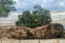 Bờ biển bị sạt lở nghiêm trọng, Thừa Thiên Huế ban bố tình huống khẩn cấp
