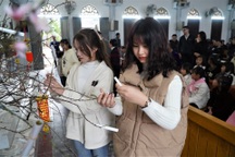 Người Công giáo đến nhà thờ cầu bình an và hái lộc thánh đầu năm