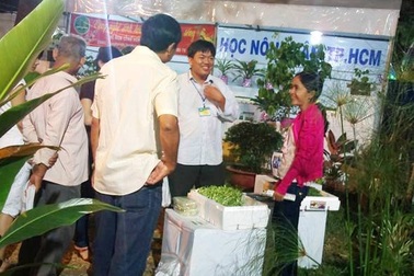 Rau quả sạch từ giảng đường đến với Hội hoa Xuân