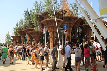 Bộ VHTT&DL lên tiếng vụ "Nhà Việt Nam tại Expo 2015"