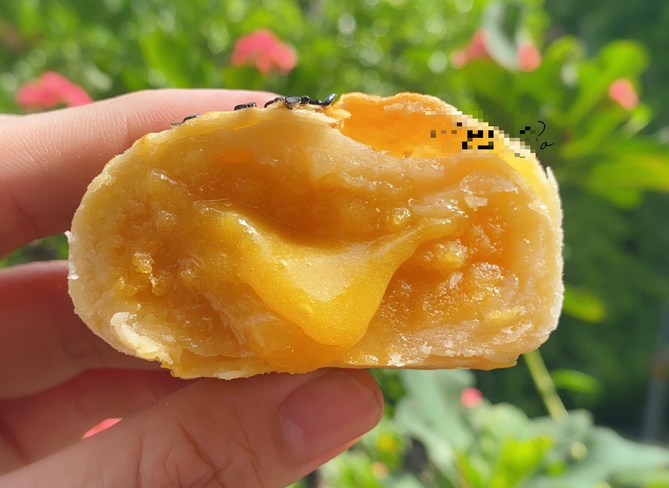 Sợ bánh Trung Quốc, chị em bỏ tiền học làm bánh trung thu trứng chảy - 7 Sợ bánh Trung Quốc, chị em bỏ tiền học làm bánh trung thu trứng chảy - 7