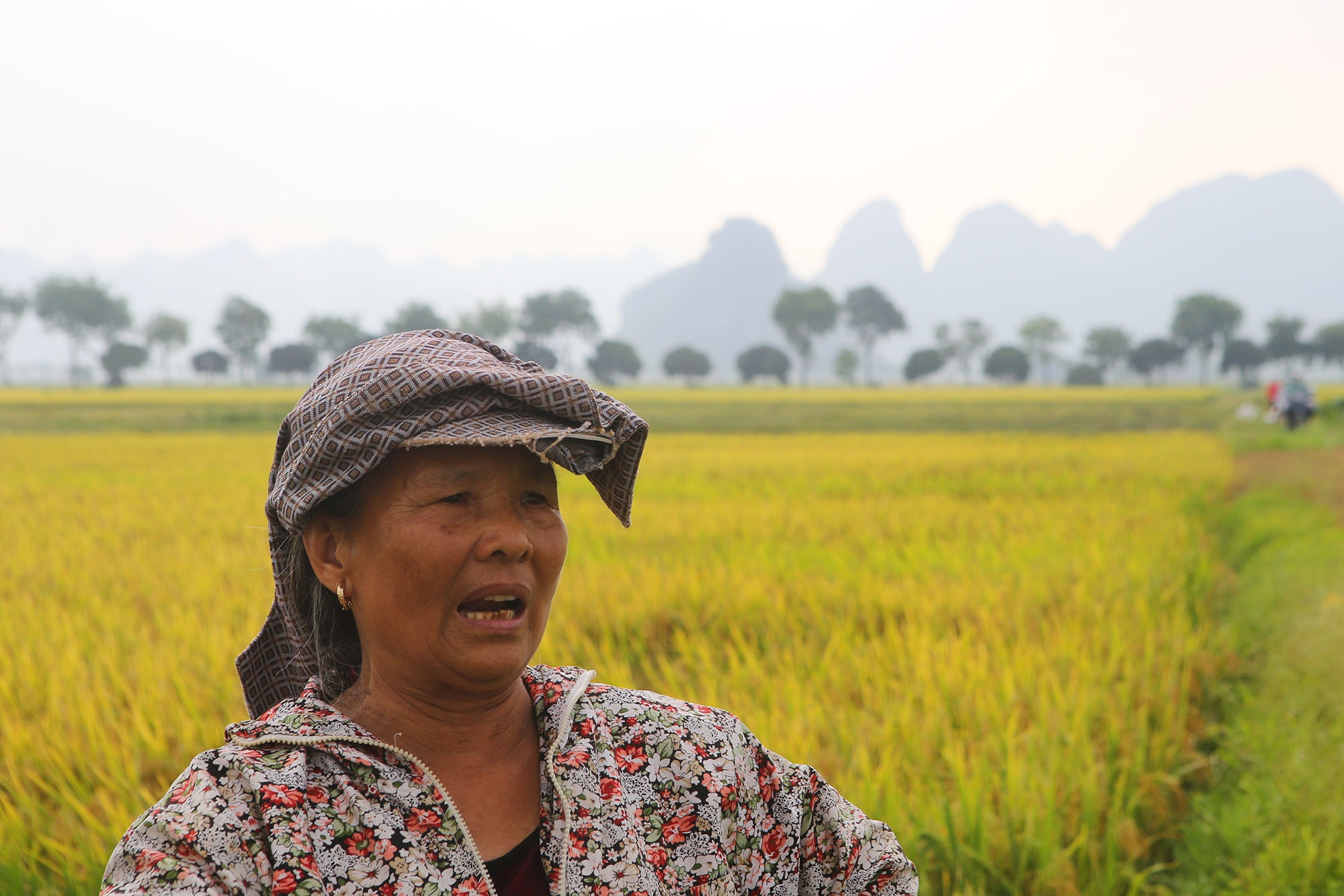 Ngày mùa ở nơi tiên cảnh giữa Hà Nội - 8 Ngày mùa ở nơi tiên cảnh giữa Hà Nội - 8