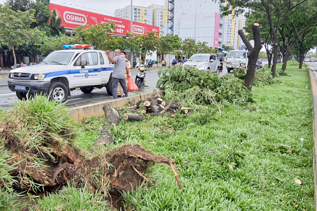 TPHCM: Gió lốc quật ngã hàng loạt cây xanh, đổ đè nhiều ô tô trên đường - 5 TPHCM: Gió lốc quật ngã hàng loạt cây xanh, đổ đè nhiều ô tô trên đường - 5