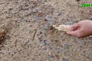 Cận cảnh tuyến đường nội đồng làng bị nứt chằng chịt