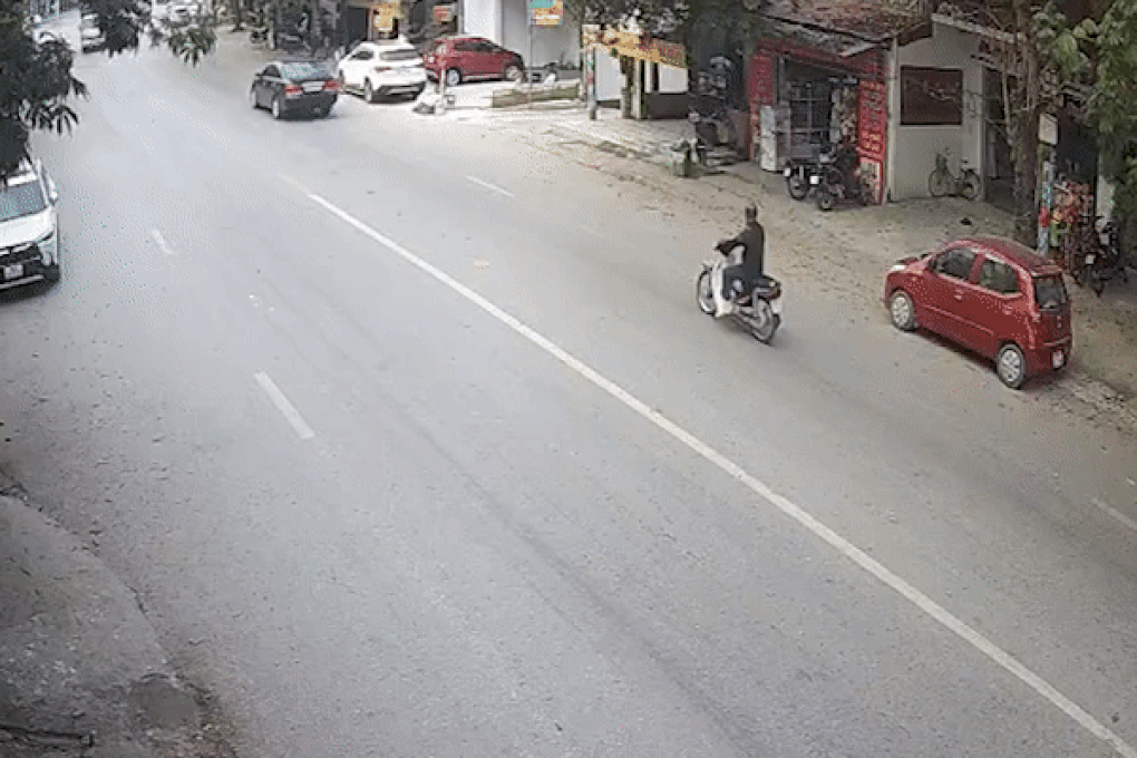 Thót tim cảnh cây xanh bật gốc đổ xuống đường, 2 cô gái suýt gặp nạn - 1 Thót tim cảnh cây xanh bật gốc đổ xuống đường, 2 cô gái suýt gặp nạn - 1