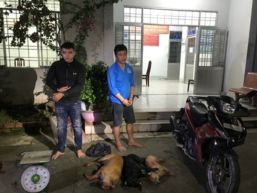Nhiều đối tượng trộm chó ở Đồng Tháp bị khởi tố - 1 Nhiều đối tượng trộm chó ở Đồng Tháp bị khởi tố - 1