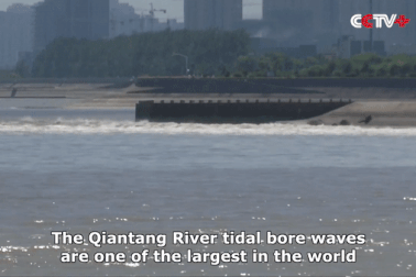 Sóng hung tợn như “thủy quái” trên sông vẫn thu hút du khách