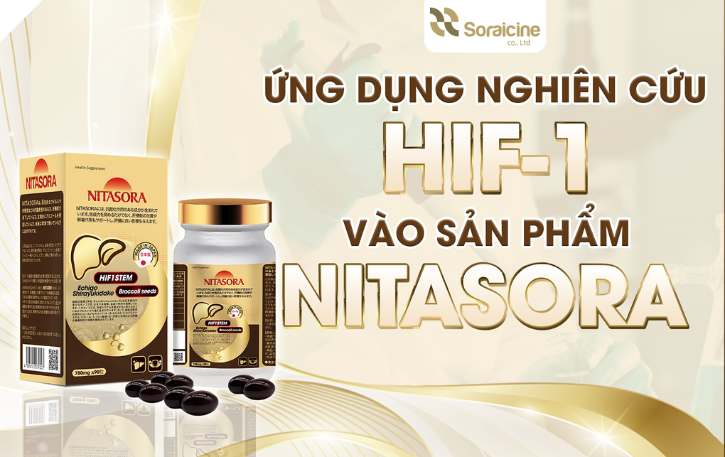 Nitasora - Ứng dụng nghiên cứu về gan từ Nhật Bản - 2 Nitasora - Ứng dụng nghiên cứu về gan từ Nhật Bản - 2