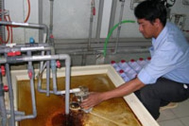 Tiếp tục “cãi nhau” về  qui trình xử lý 