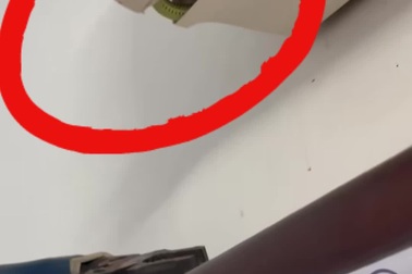 Kinh hãi ổ rắn bò lổm ngổm trong điều hòa