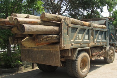 Cảnh sát giao thông bắt gỗ lậu